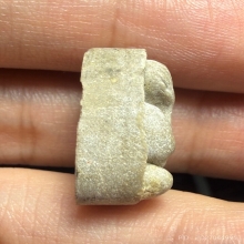 ปิดตามหาเสน่ห์ เนื้อเกสร หลวงปู่โต๊ะ วัดประดู่ฉิมพลี