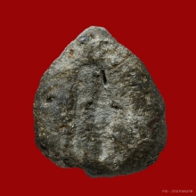 พระขุนแผน หน้าตะโพน หลวงพ่อแช่ม วัดตาก้อง จ.นครปฐม รุ่นแรก