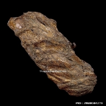 ตะกรุดหนังหน้าผากเสือ หลวงพ่อจง วัดหน้าต่างนอก