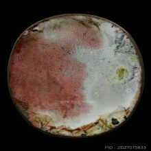 หลวงปู่แหวน สุจิณโณ