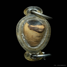 หมากทุยเปลือย หลวงตาช้วน วัดหนัง กรุงเทพฯ