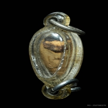 หมากทุยเปลือย หลวงตาช้วน วัดหนัง กรุงเทพฯ