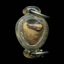 หมากทุยเปลือย หลวงตาช้วน วัดหนัง กรุงเทพฯ