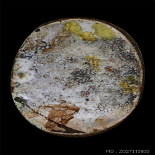 ล็อคเก็ตในหลวง รัขกาลที่9