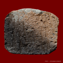 ไก่หางพวงจิ๋ว วัดโคกเสือ ปี 05 พิมพ์ 2 สี นิยมสุด ลพ. จง