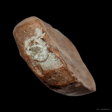 หลวงพ่อปาน วัดบางนมโค อยุธยา พิมพ์ไก่ฟ้า