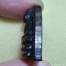 หลังหนังสือปี 24 หน้าวงเดือน หลัง 3 จุด ผิวปรอททั้งองค์