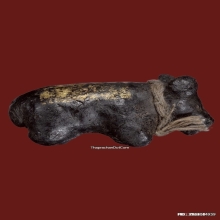 วัวธนู ครูบาคำแสน รุ่น 1 วัวธนูยอดนิยมอันดับ1ล้านนา