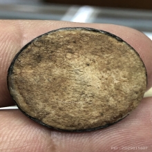 ล็อกเก็ต หลวงพ่อเกษม เขมโก ปี 2529