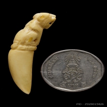 +บัตรสมาคม เขี้ยวแกะ เสือหลวงพ่อคง วัดวังสรรพรส