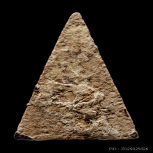 +บัตรสมาคม กรุสามปลื้ม พิมพ์สามเหลี่ยมใหญ่