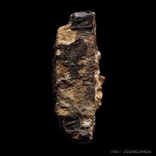 +บัตรสมาคม กรุสามปลื้ม พิมพ์สามเหลี่ยมใหญ่