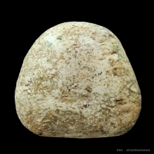 พระวัดพลับ พิมพ์พุงป่องเล็ก