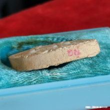 พระผงรูปเหมือน หลวงพ่อทองอยู่ วัดใหม่หนองพะอง ปี 2526