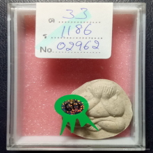 พระปิดตาเสาร์ห้า หลวงพ่อรวย วัดตะโก