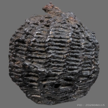 เบี้ยแก้หลวงปู่รอด วัดนายโรง