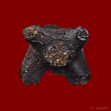 วัวธนูหลวงพ่อน้อย วัดศรีษะทอง จ.นครปฐม   