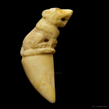 +บัตรสมาคม เขี้ยวแกะ เสือหลวงพ่อคง วัดวังสรรพรส