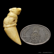 +บัตรสมาคม เขี้ยวแกะ เสือหลวงพ่อคง วัดวังสรรพรส