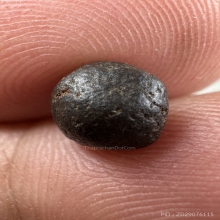 เม็ดยาวาสนาหลวงปู่บุญ วัดกลางบางแก้ว