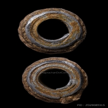 บัตรสมาคม ตะกรุด หลวงพ่อมุ่ย วัดดอนไร่ ยุคต้น