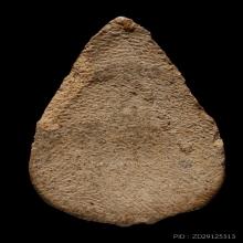 +บัตรสมาคม กลีบบัว กรุวัดลิงขบ