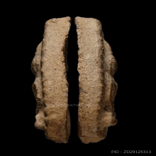 +บัตรสมาคม กลีบบัว กรุวัดลิงขบ