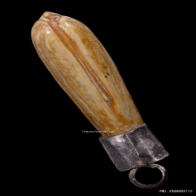 ดอกจำปีหลวงพ่อสด วัดปากน้ำ ภาษีเจริญ