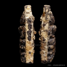 +บัตรสมาคม พระผงวัดสามปลื้ม สามเหลี่ยมใหญ่