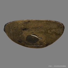 รูปหล่อโบราณ หลวงพ่อศรีไพร วัดหุบรัก ปี2518 (คืนชีพ)