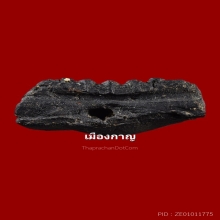  ลป.ทวด พิมใหญ่ปลายเเหลมเล็บเยี่ยว เนื่อดำ วัดประสาท ปี06