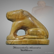 เสือหลวงพ่อปาน 