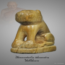 เสือหลวงพ่อปาน 