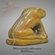 เสือหลวงพ่อปาน 