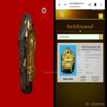 พระผงนาคปรกสัตตนาเคพิมพ์ใหญ่หลวงปู่ทิมวัดละหารไร่แชมป์ๆ