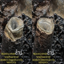 “ตะกรุดโทนมหาปราบ” หลวงพ่อปาน วัดคลองด่าน จ.สมุทรปราการ