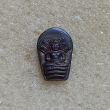 พระนาคปรกใบมะขามลพบุรี รุ่นอนุรักษ์ชาติ ปี 2538 เนื้อนวะ