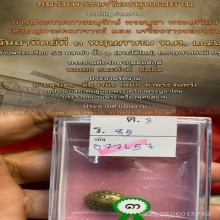 พญาเต่าเรือน หลวงพ่อเงิน วัดบางคลาน