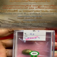 พญาเต่าเรือน หลวงพ่อเงิน วัดบางคลาน