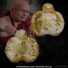 เต่าสำลีครูบาบุญยัง วัดห้วยน้ำอุ่น