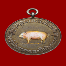 เหรียญหมูเสาวภา เนื้อเงิน ปี 2456  สวยแชมป์