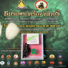 >>>..,ปลัดขิกนางแอ่นหลวงพ่อคง วัดวังสรรพรส ไม้งิ้วดำ