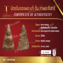 พระนางพญาพิมพ์อกนูนเล็ก กรุวัดนางพญา จ.พิษณุโลก