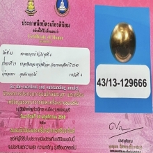 “ปรอทกินทองเมฆสิทธิ์ล้านนา“ครูบาศรีอ่อง บรรพสถิต