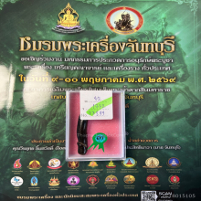 >>>..,ปลัดขิกหลวงพ่อคง วัดวังสรรพรส ไม้กัลปังหา แห้ง เดิมๆ