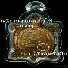 เหรียญพญาเต่าเรือน รุ่นมหาลาภ หลวงปู่หลิว วัดไร่แตงทอง 