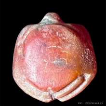 เต่าเรือนหินสบู่จารมือ