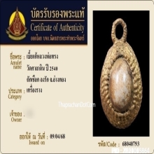 เบี้ยแก้หลวงพ่อทรง วัดศาลาดิน อ่างทอง
