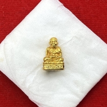 พระทองคำ.หลวงปู่ทวดวัดช้างให้ปี 2535 