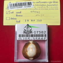 >>>..,เบี้ยแก้หลวงพ่อนุ่ม วัดนางใน จ.อ่างทอง พร้อมบัตรฯ